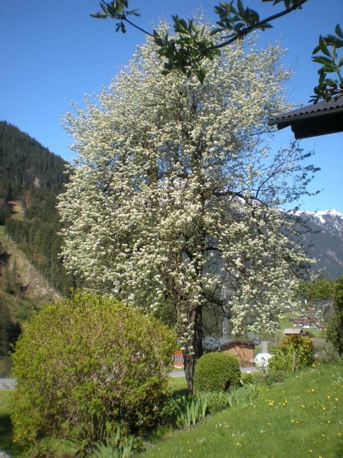Haus Gant Apartment Sankt Gallenkirch Exterior photo